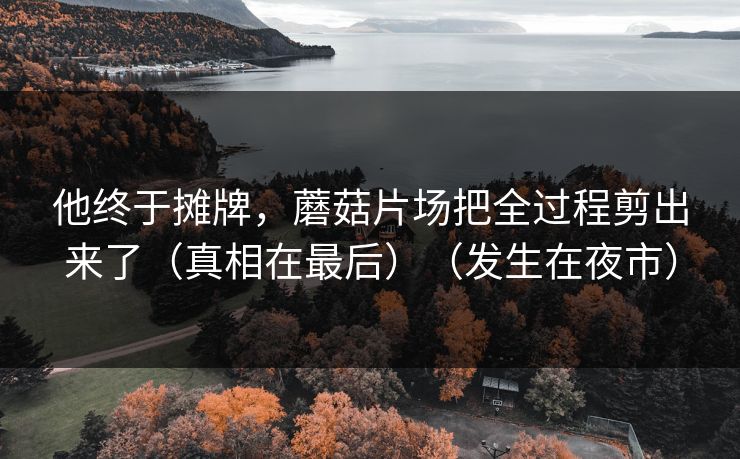 他终于摊牌，蘑菇片场把全过程剪出来了（真相在最后）（发生在夜市）