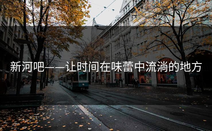 新河吧——让时间在味蕾中流淌的地方